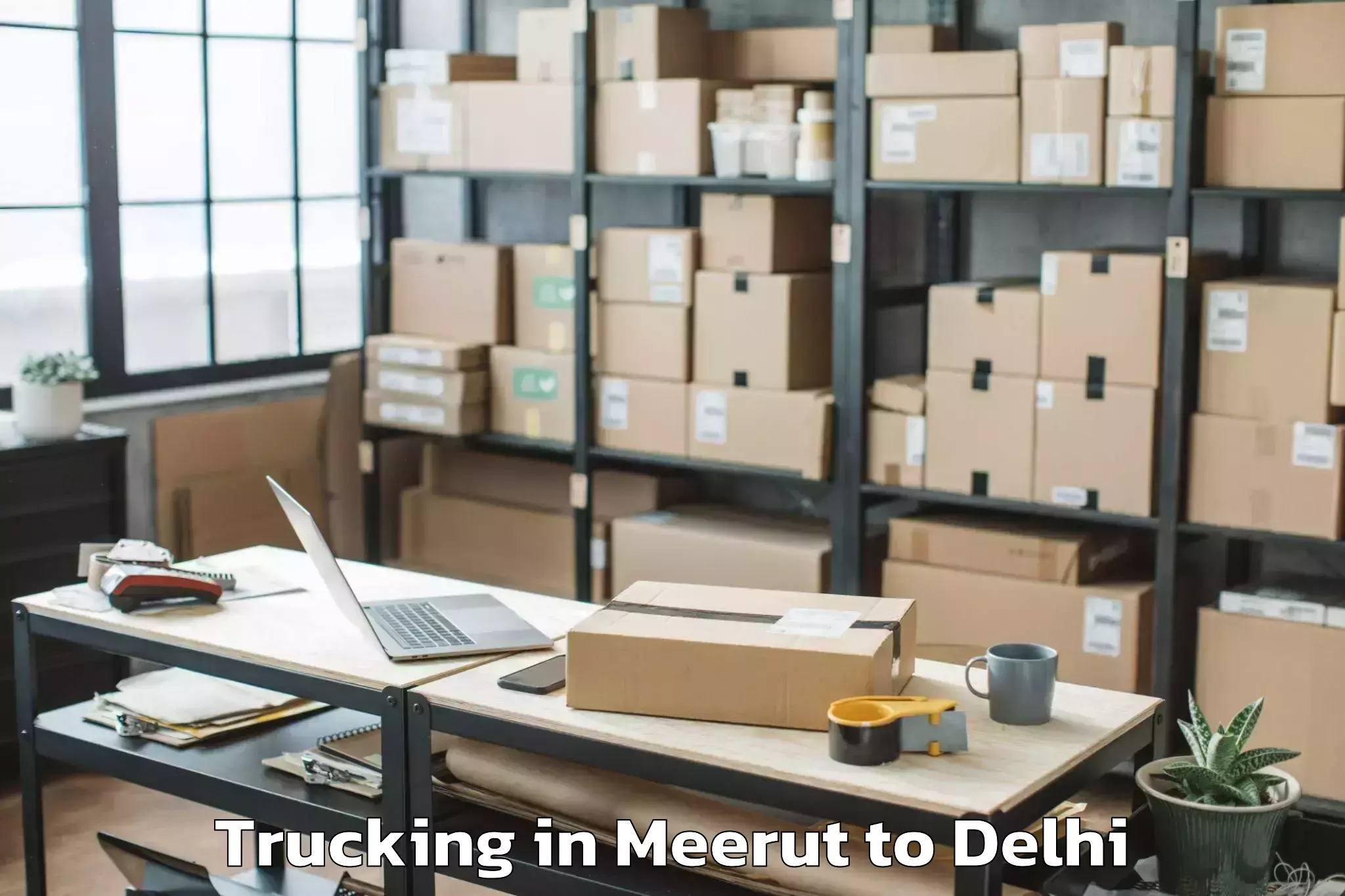 Book Meerut to Hauz Khas Trucking Online